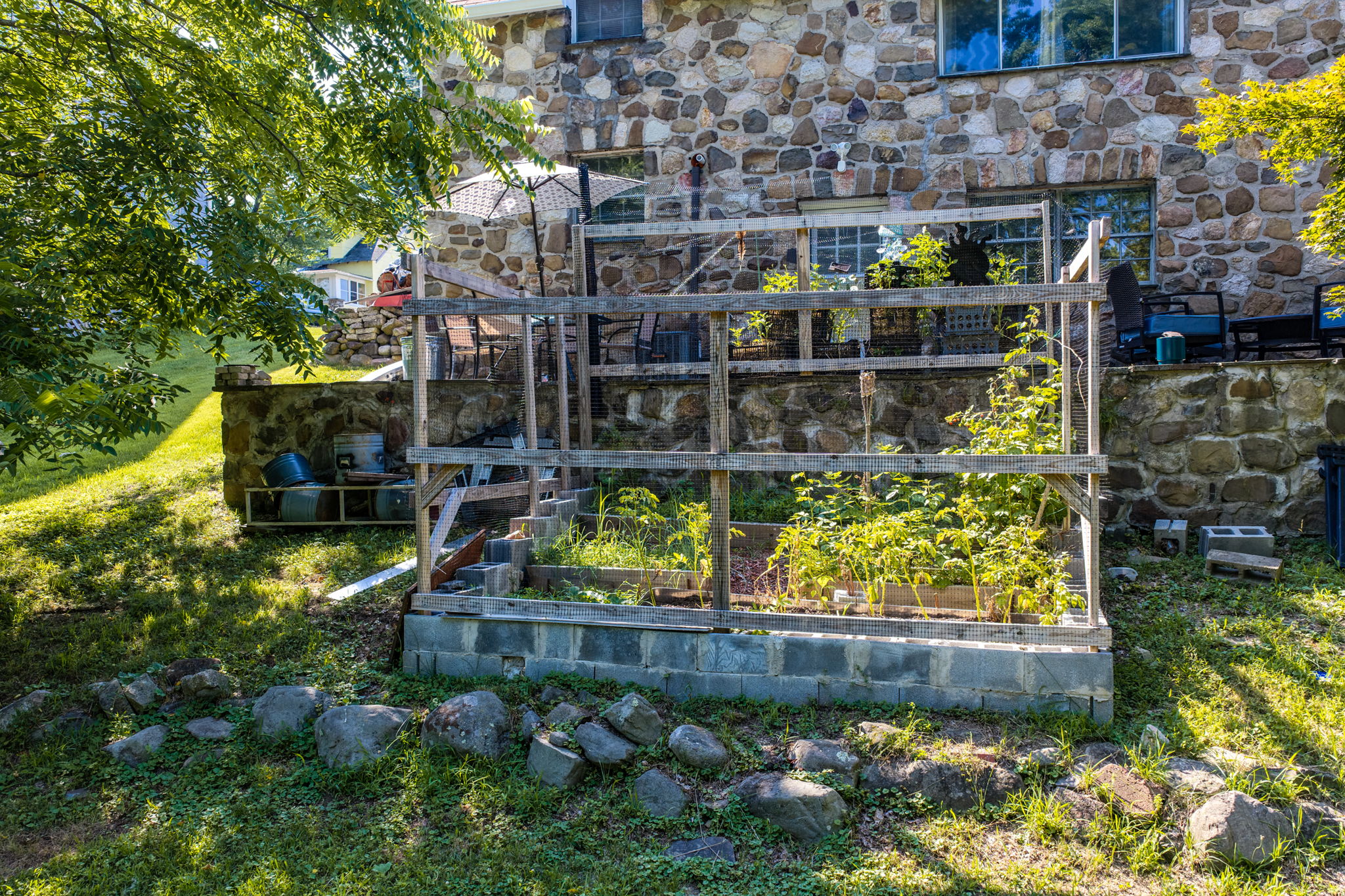  Photo 47