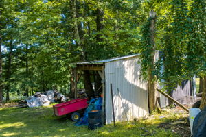  Photo 48