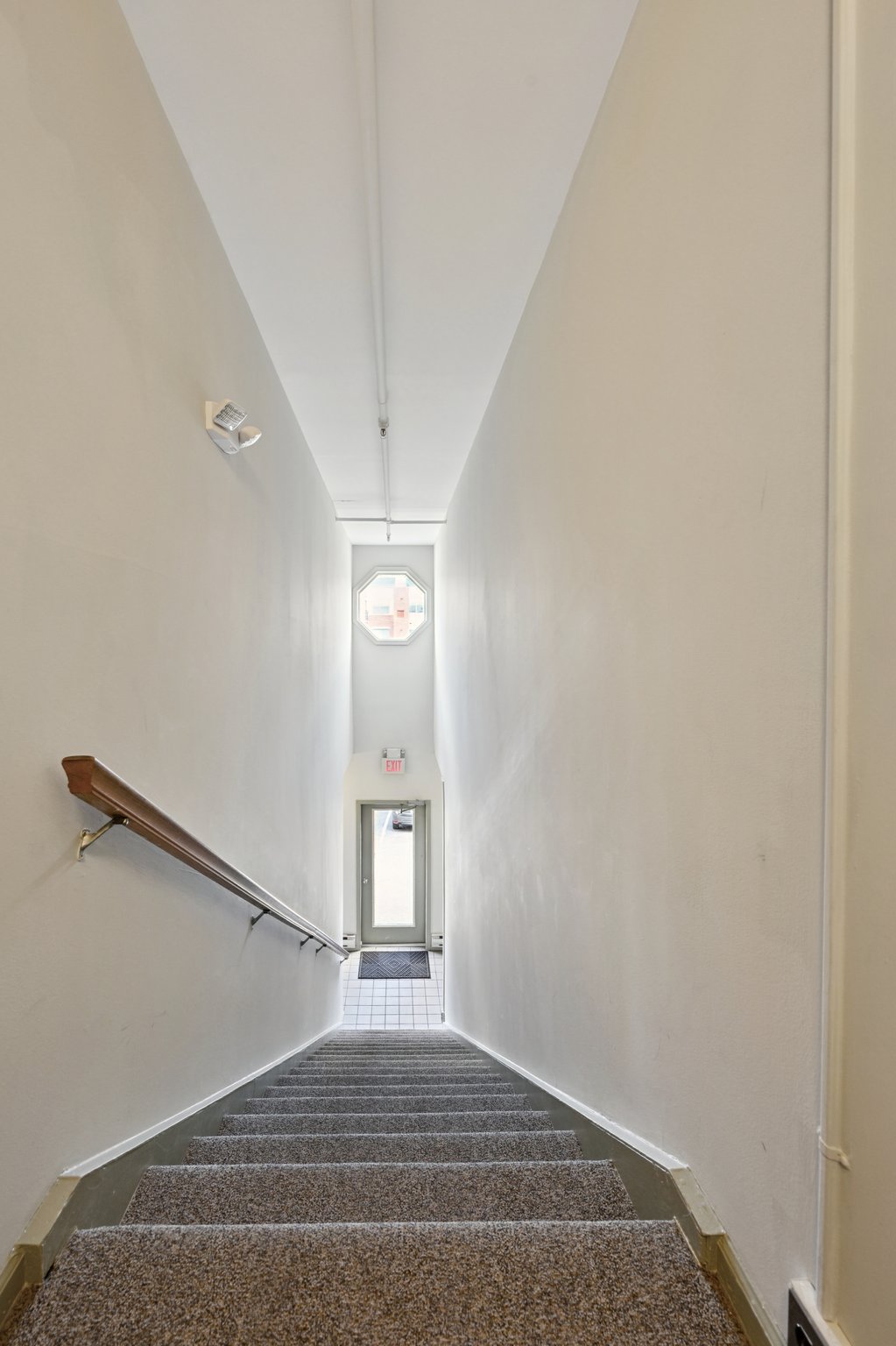 VMD031.jpg