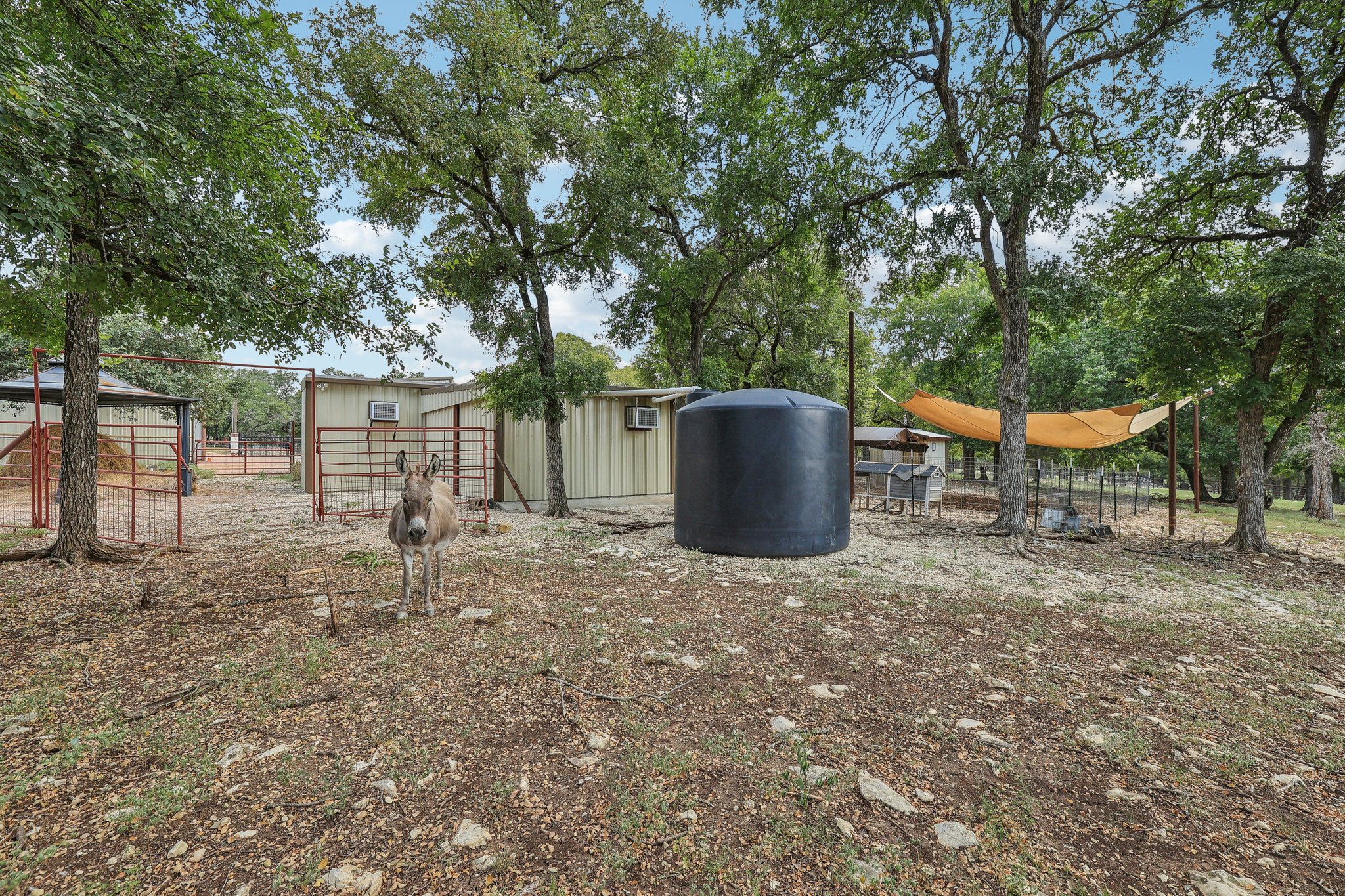 Ranch to Market Rd 1869-091.jpg