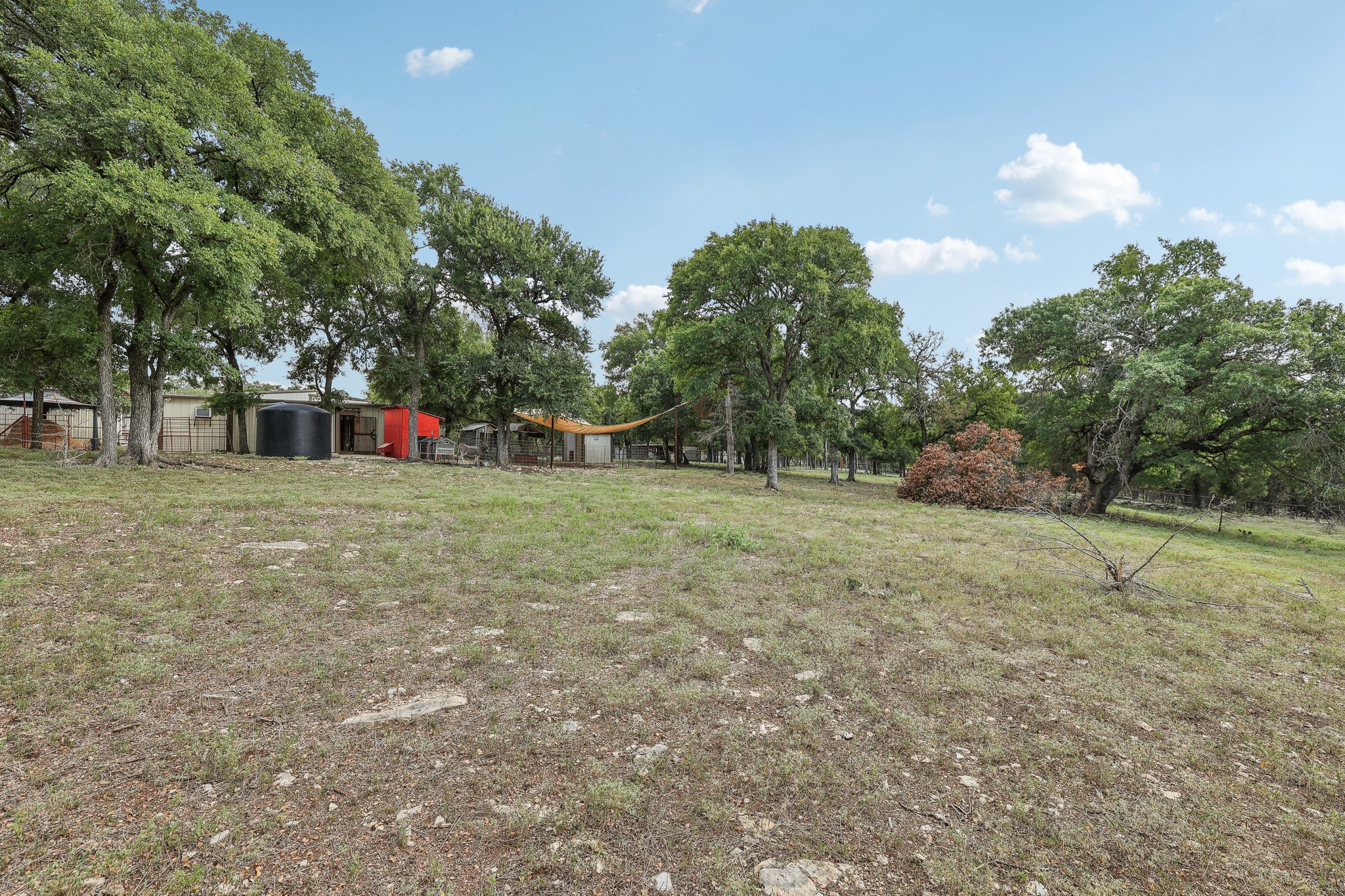 Ranch to Market Rd 1869-094.jpg