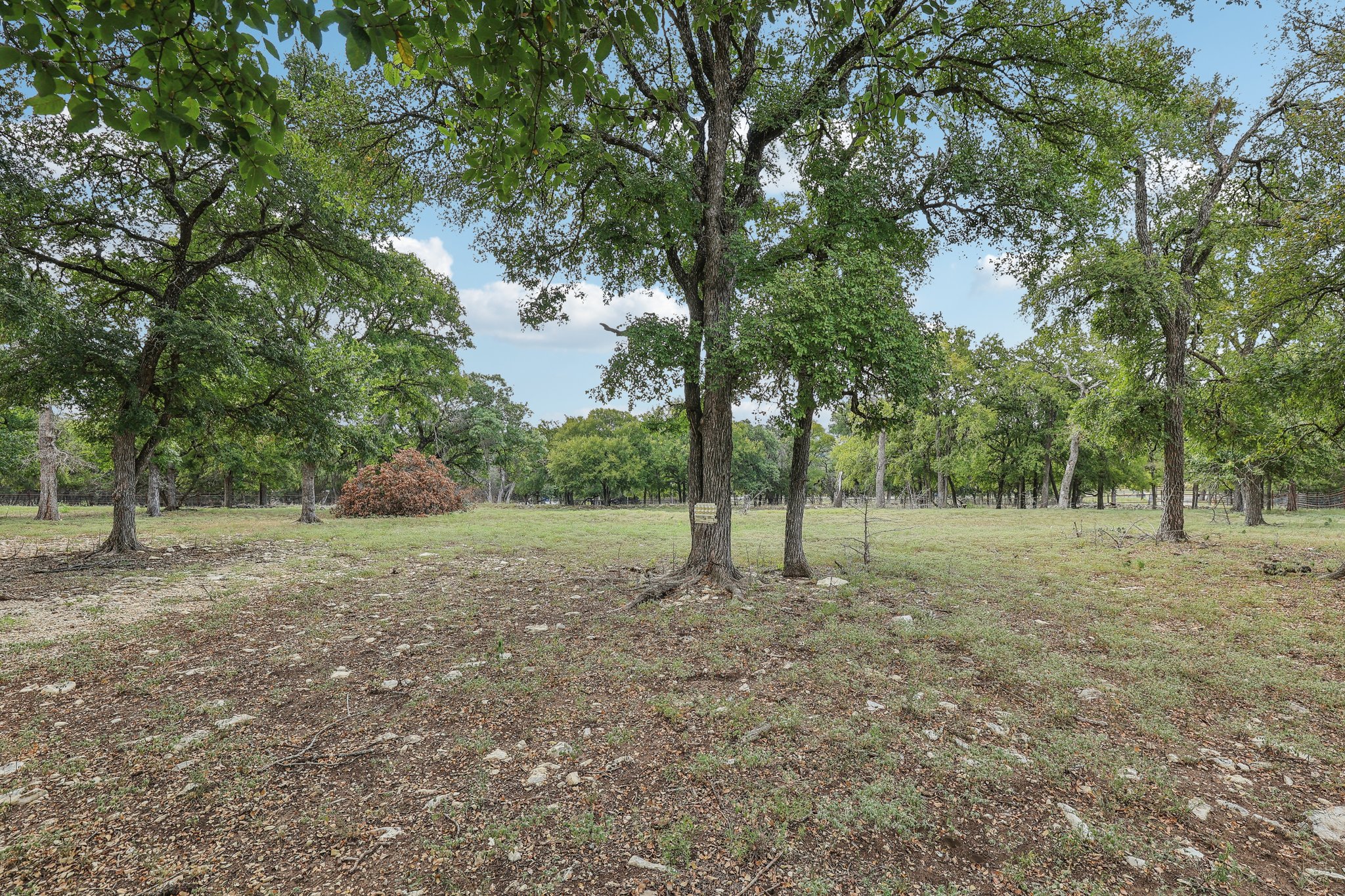 Ranch to Market Rd 1869-095.jpg