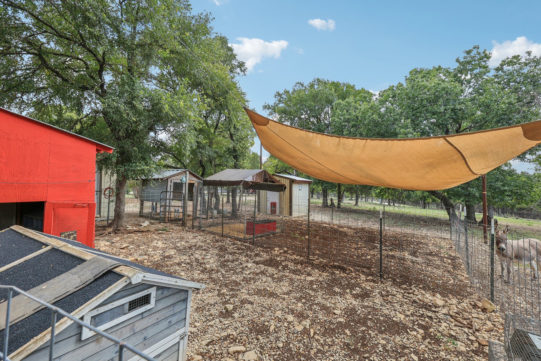 Ranch to Market Rd 1869-096.jpg