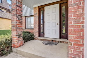 Terry Dr D-004