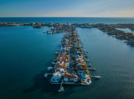 Aerial (40)
