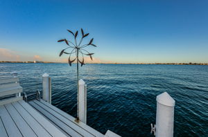 Dock5