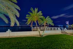 Backyard24