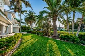 Frontyard1