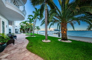 Backyard1-3