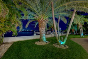 Backyard23