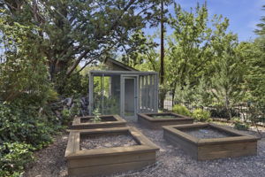 Backyard 2