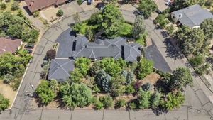 Birds Eye