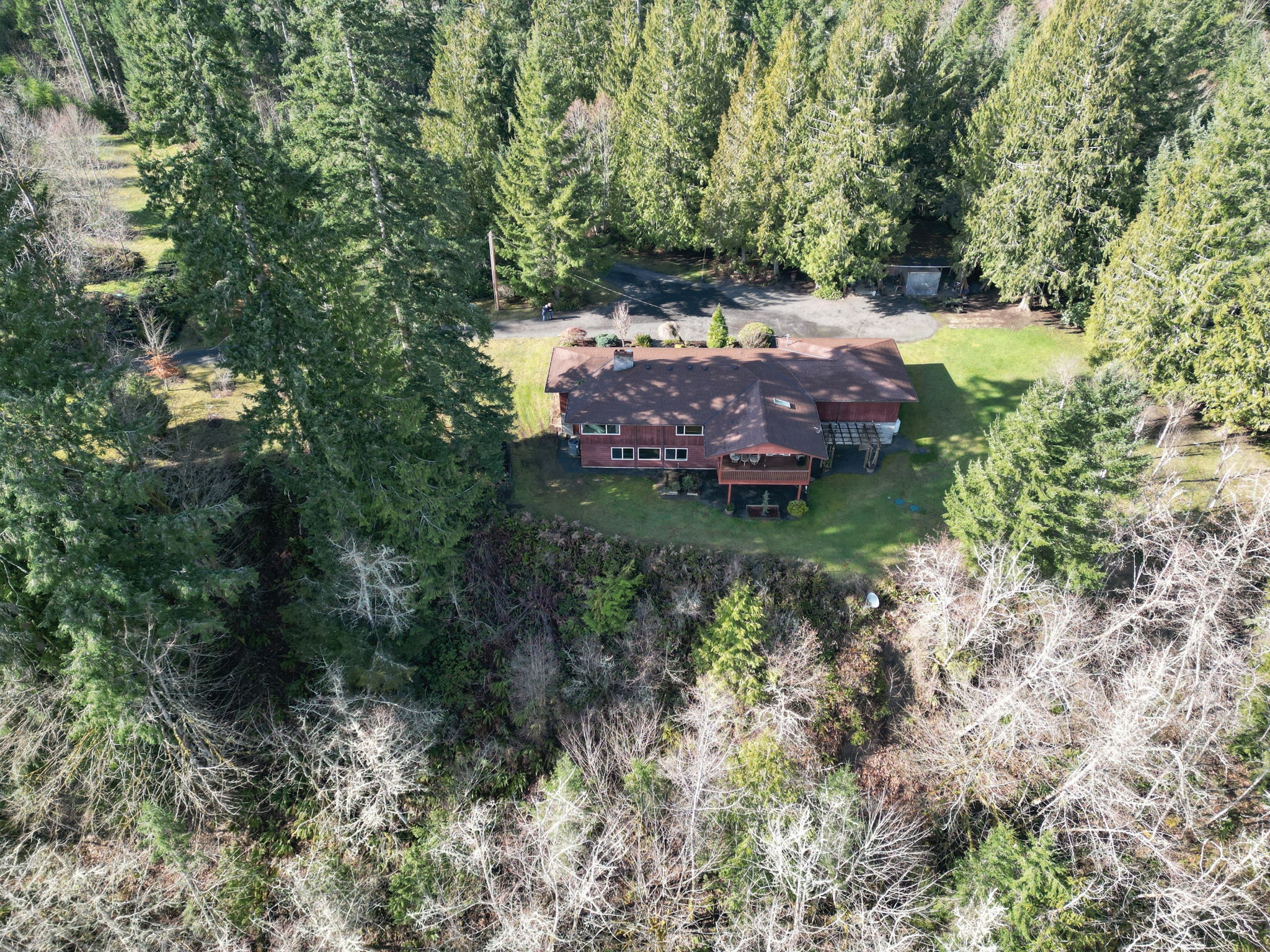  Photo 81