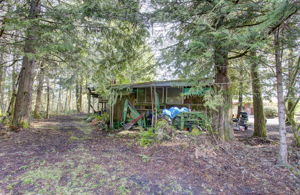  Photo 45
