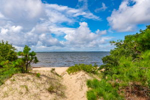 Jockeys-Ridge-Beach-Path