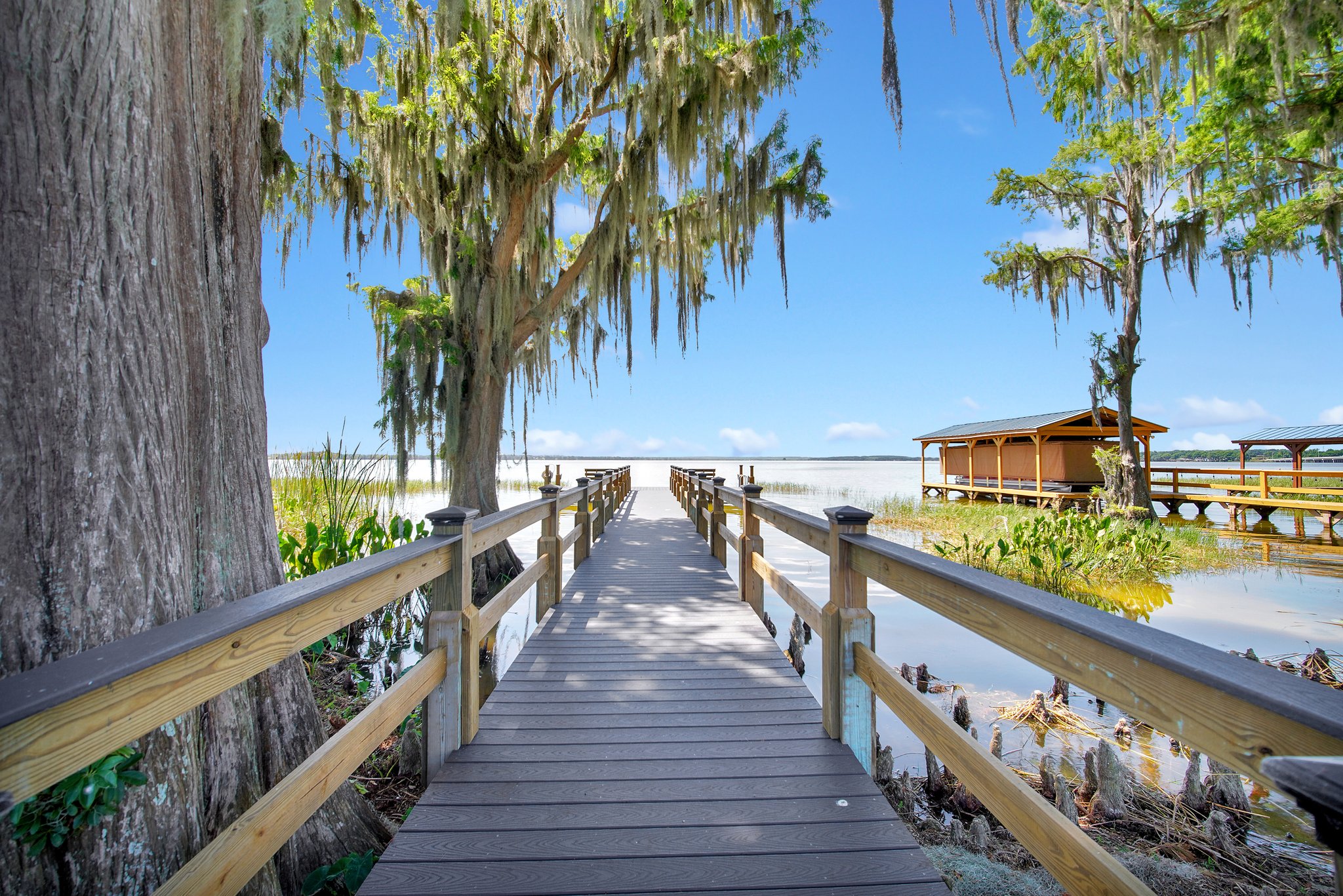5000 Portsmouth St, Tavares, FL 32778, USA Photo 39