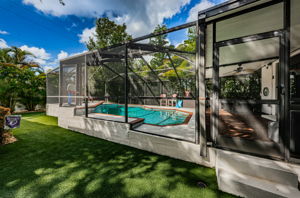 Backyard5