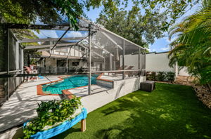 Backyard7
