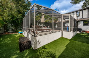 Backyard6