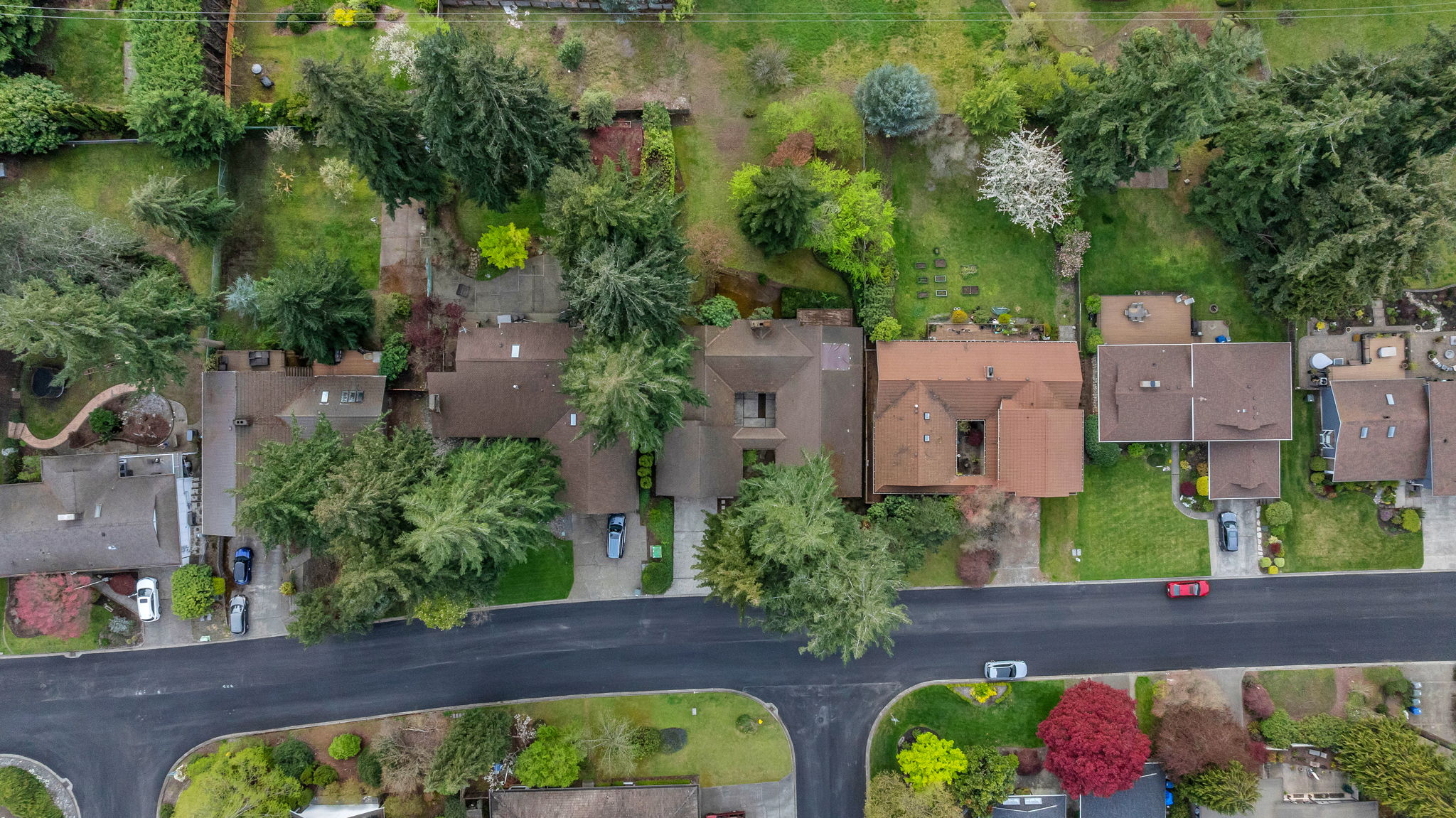 9658 51st Ave S, Seattle, WA 98118, US Photo 1