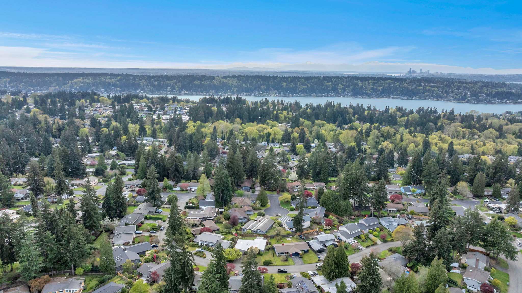 9658 51st Ave S, Seattle, WA 98118, US Photo 5