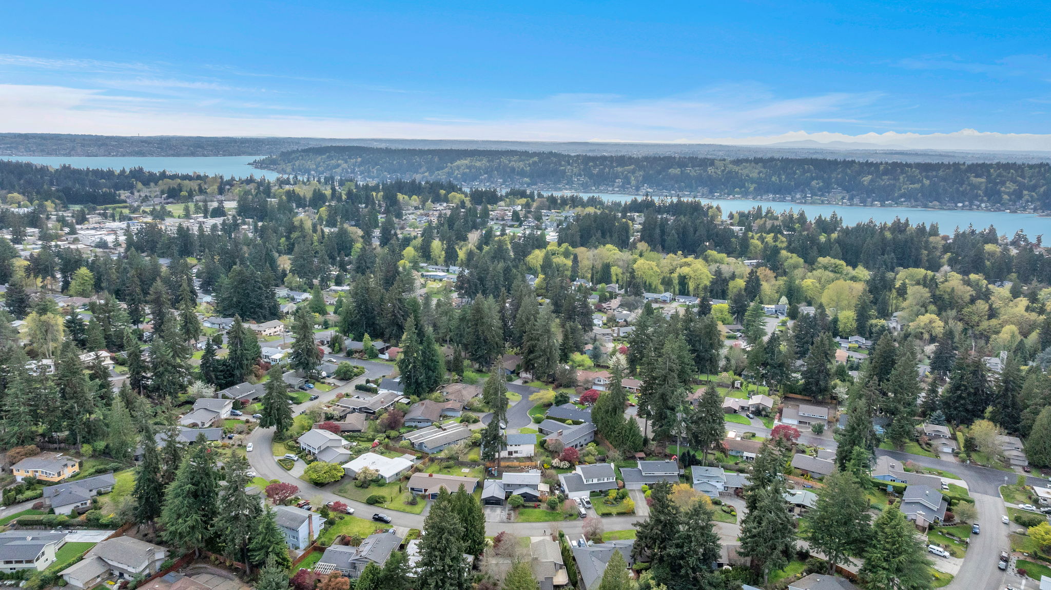 9658 51st Ave S, Seattle, WA 98118, US Photo 6