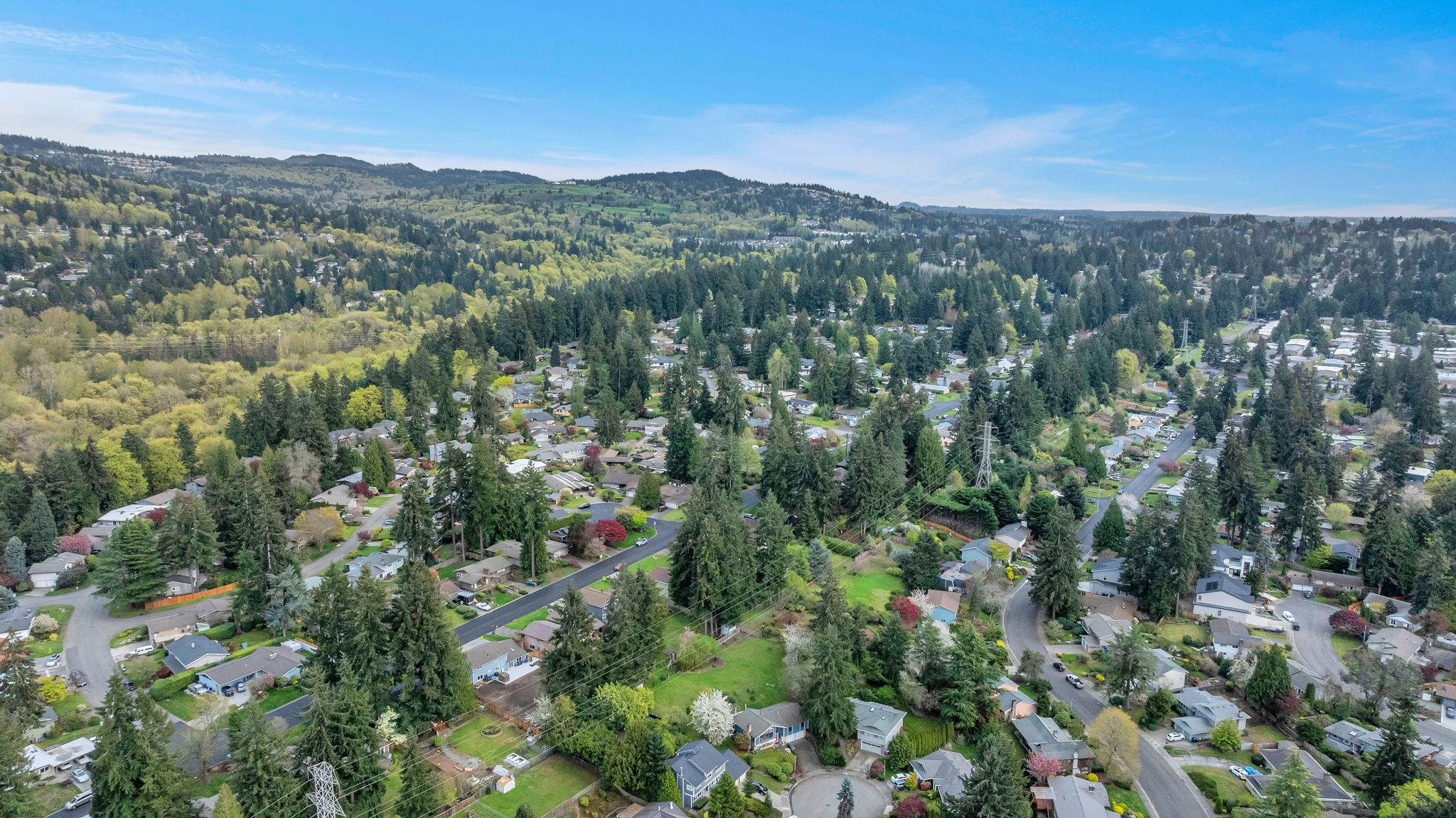 9658 51st Ave S, Seattle, WA 98118, US Photo 8