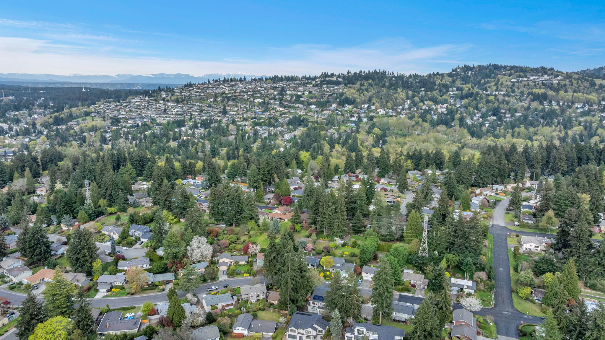 9658 51st Ave S, Seattle, WA 98118, US Photo 10