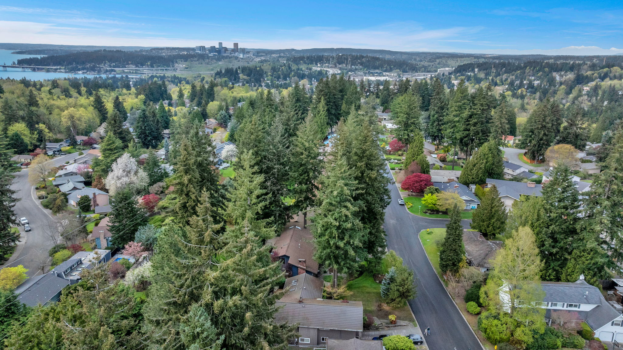 9658 51st Ave S, Seattle, WA 98118, US Photo 12