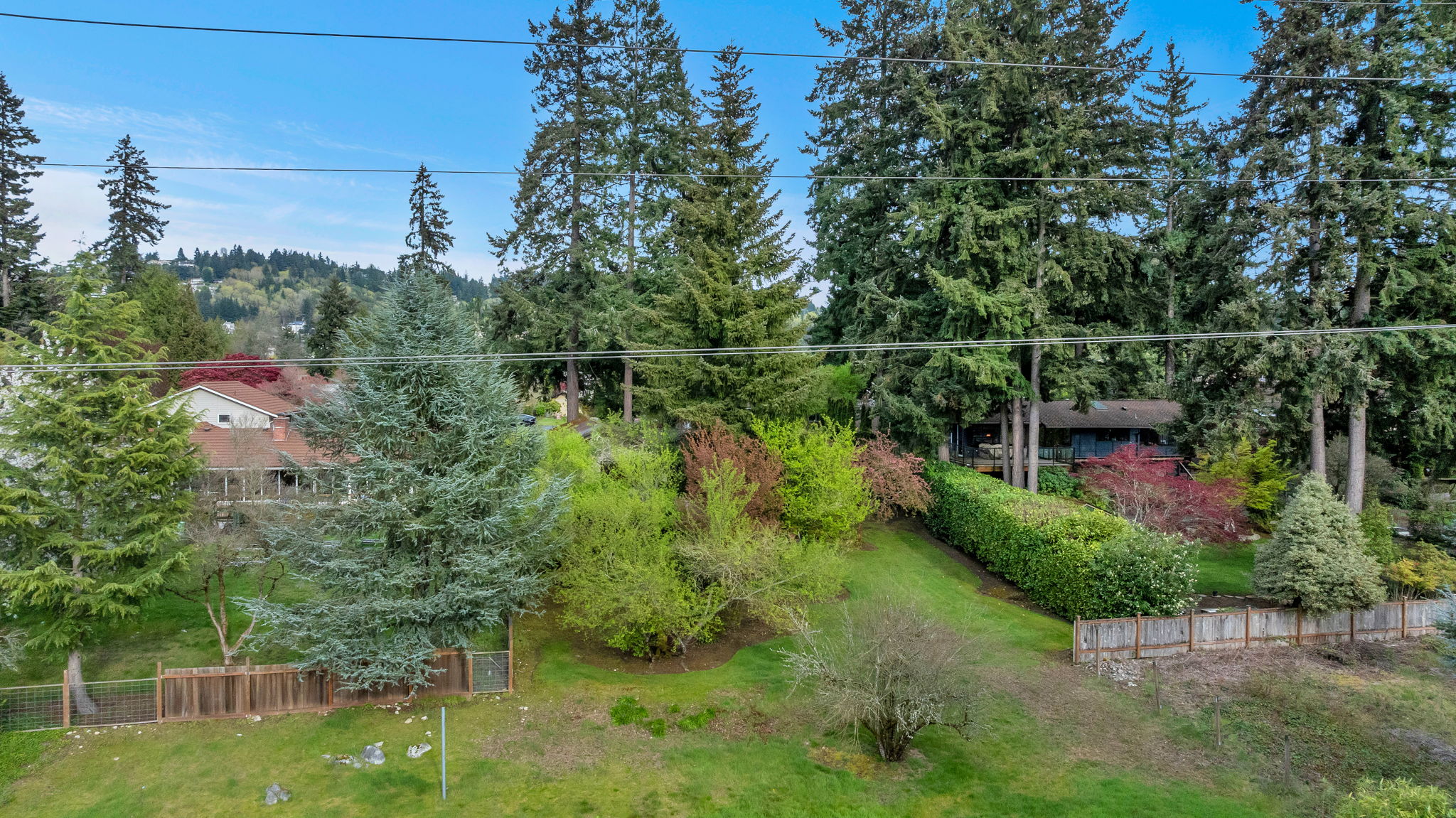 9658 51st Ave S, Seattle, WA 98118, US Photo 19