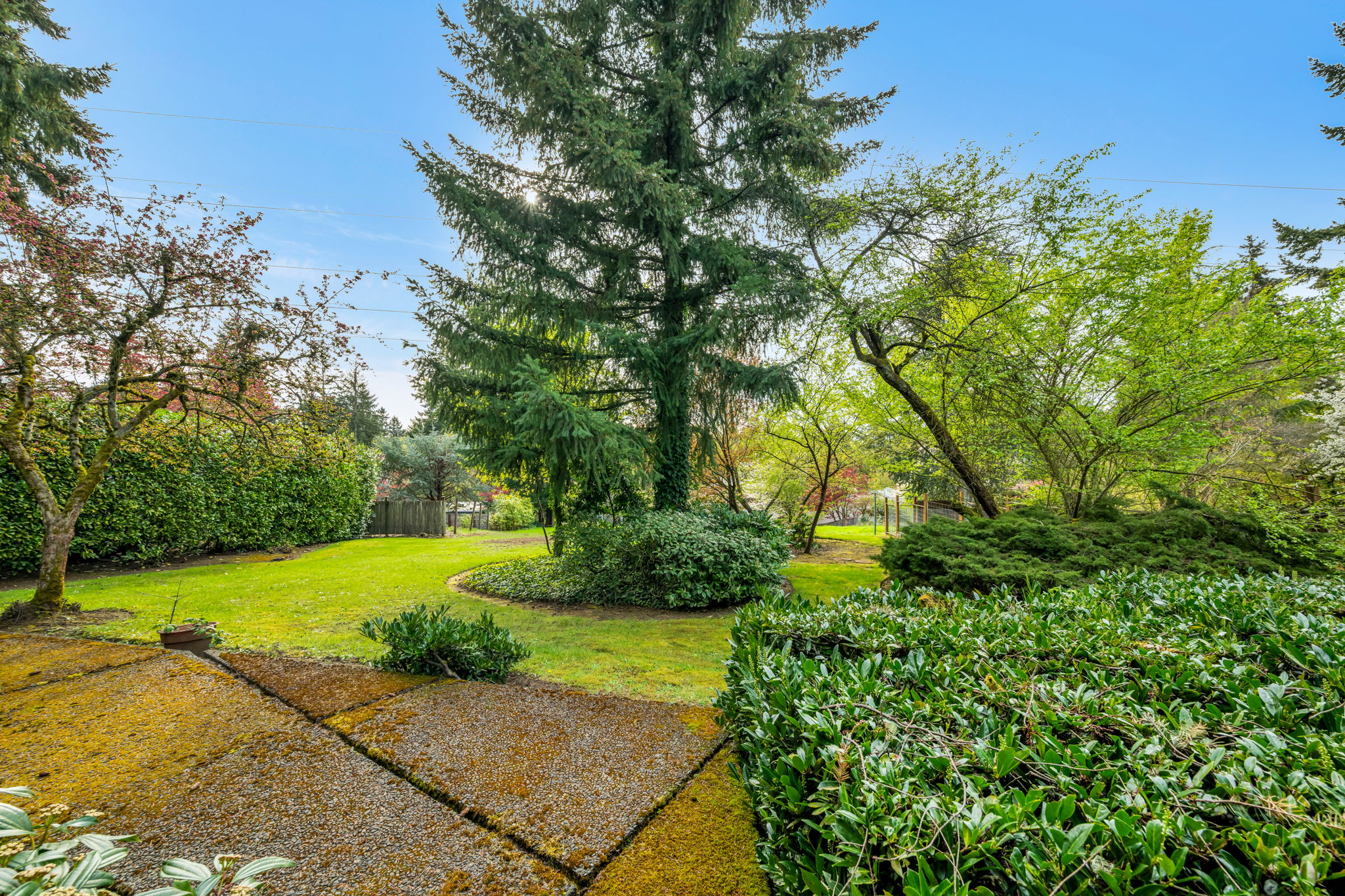 9658 51st Ave S, Seattle, WA 98118, US Photo 96