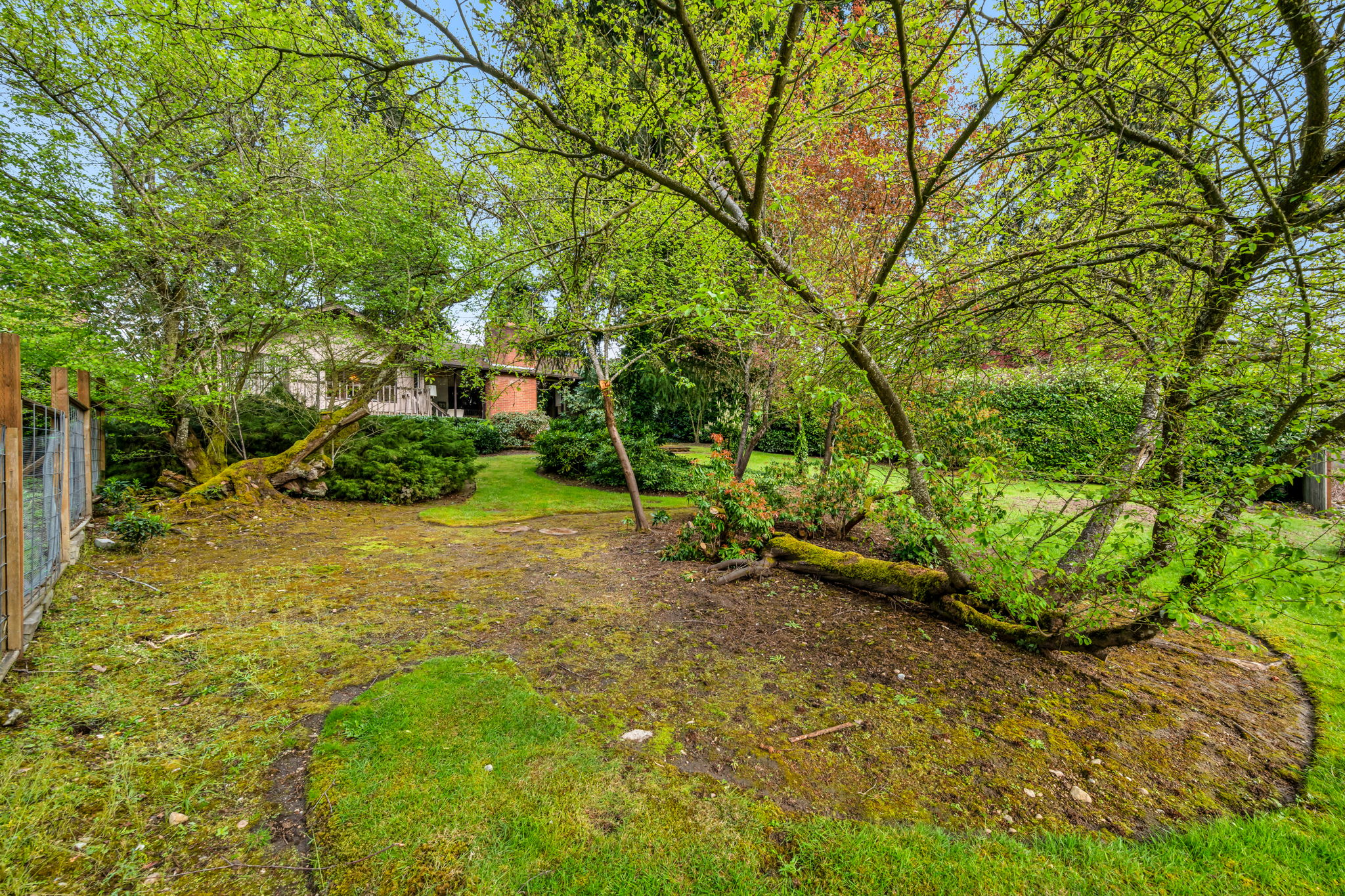 9658 51st Ave S, Seattle, WA 98118, US Photo 104