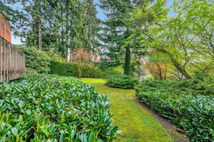 9658 51st Ave S, Seattle, WA 98118, US Photo 92