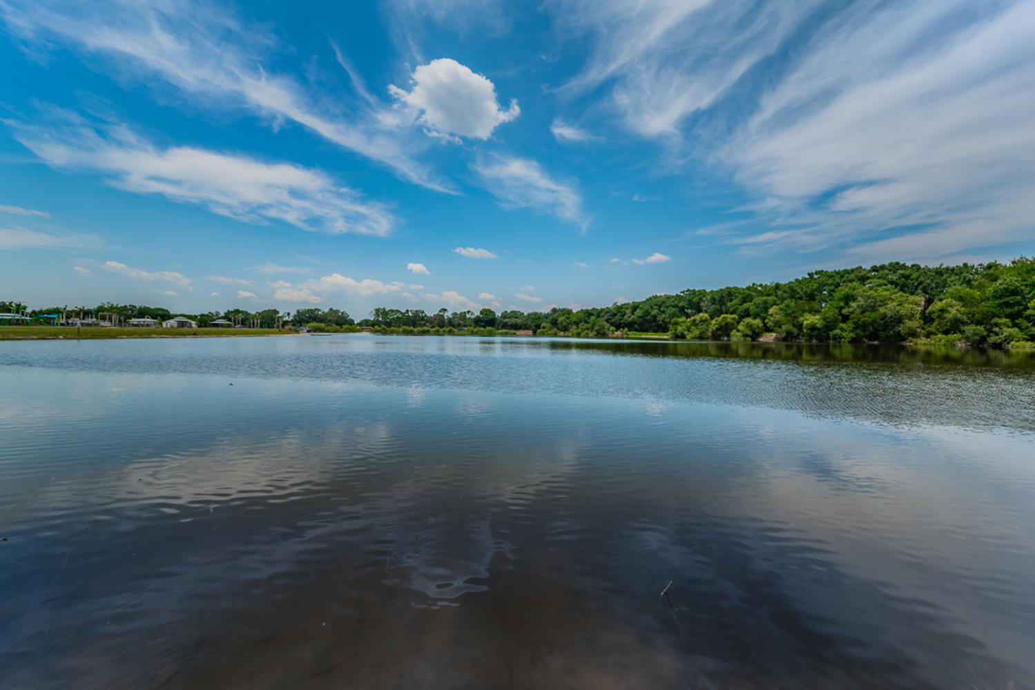 Carrollwood Village Park (24)