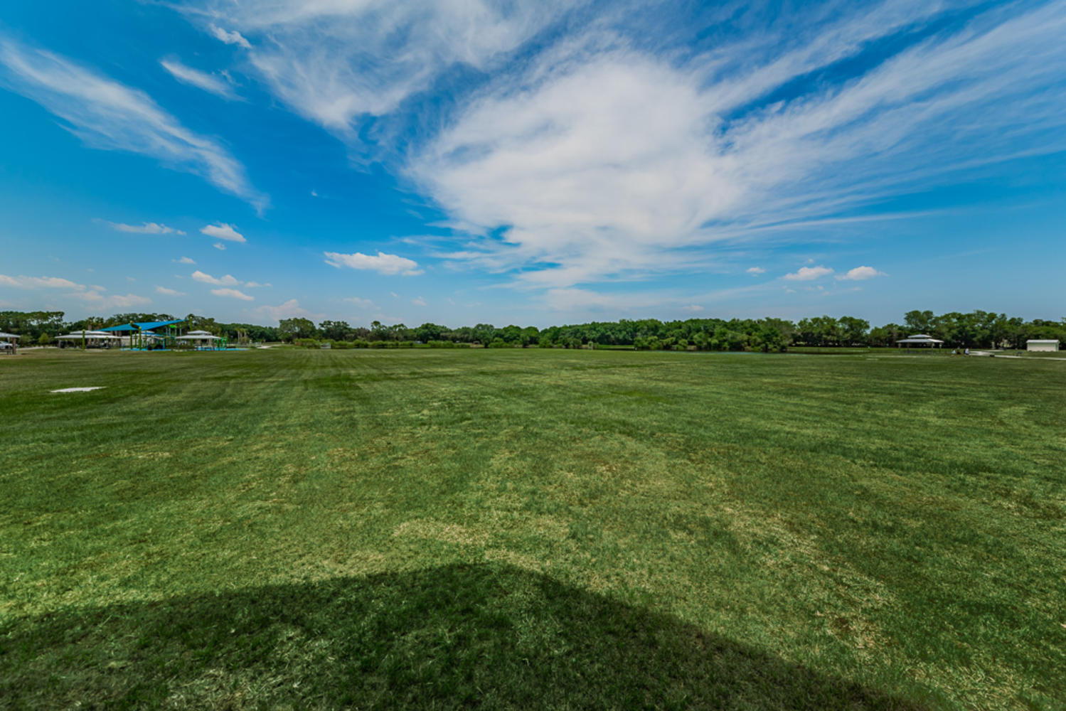 Carrollwood Village Park (19)