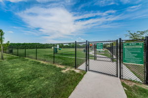 Carrollwood Village Park (21)