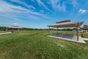 Carrollwood Village Park (13)