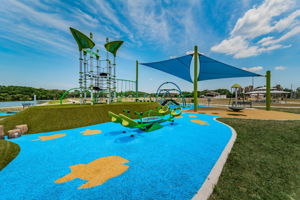 Carrollwood Village Park (4)