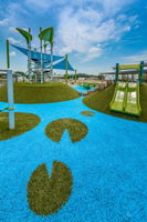 Carrollwood Village Park (5)