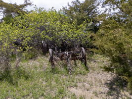  Photo 51