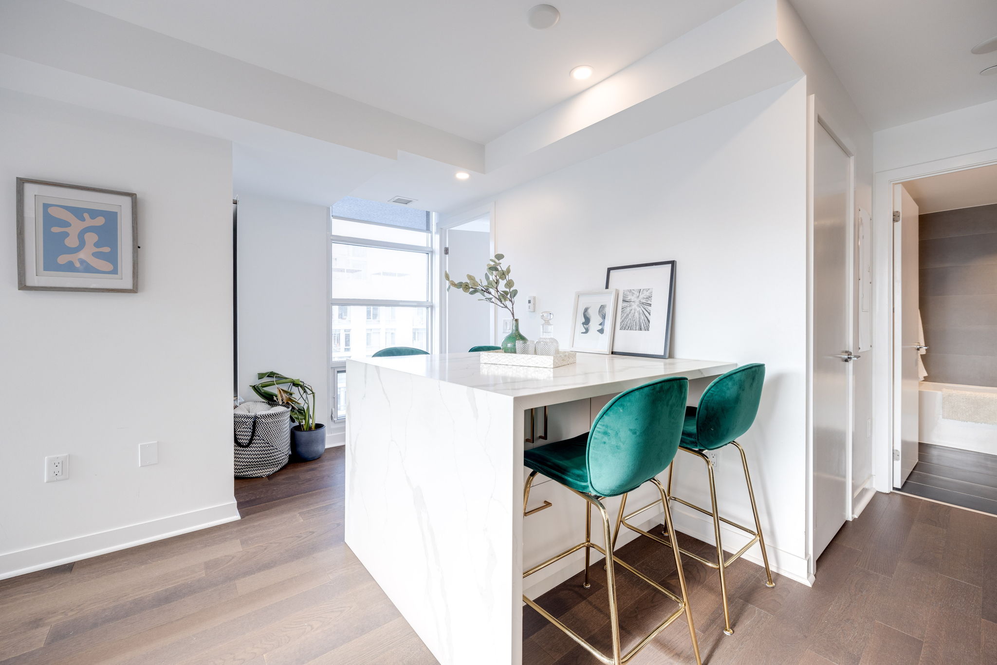 Toronto property showcase — delivered property photograph 11