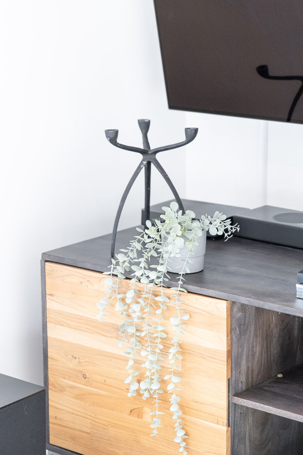 Toronto property showcase — delivered property photograph 34