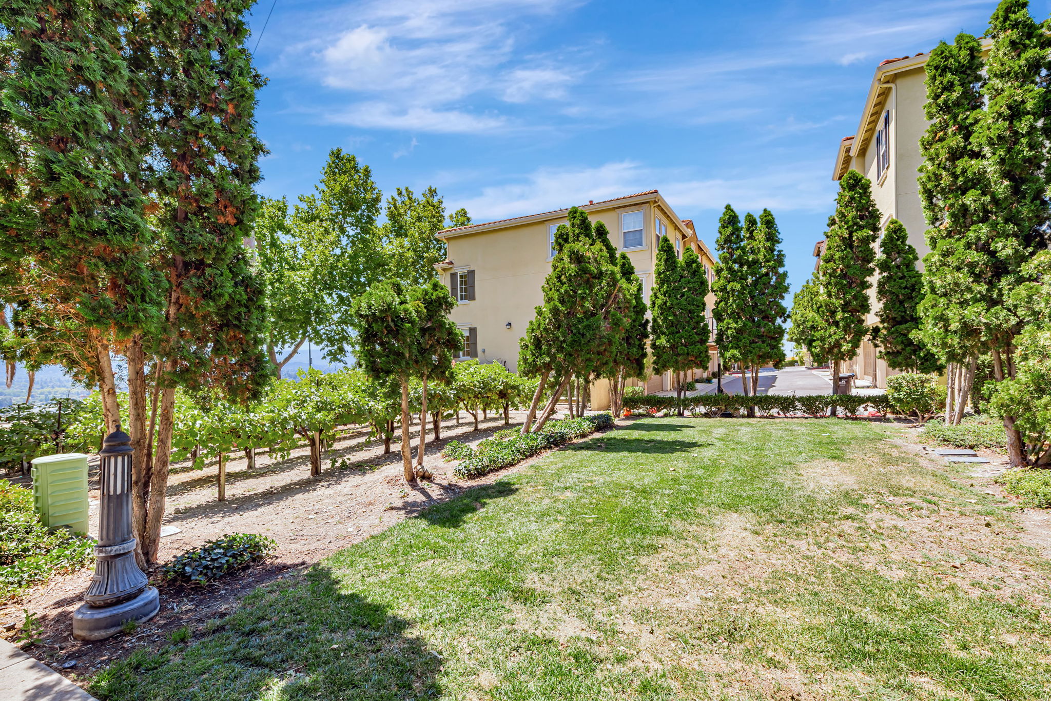 039_501 Casselino Dr