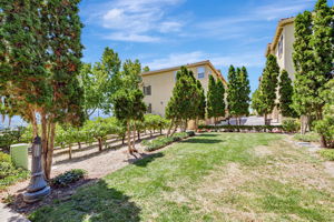 039_501 Casselino Dr