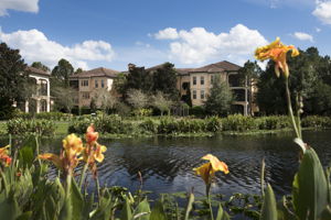 Beautiful Canal Borders Mirasol