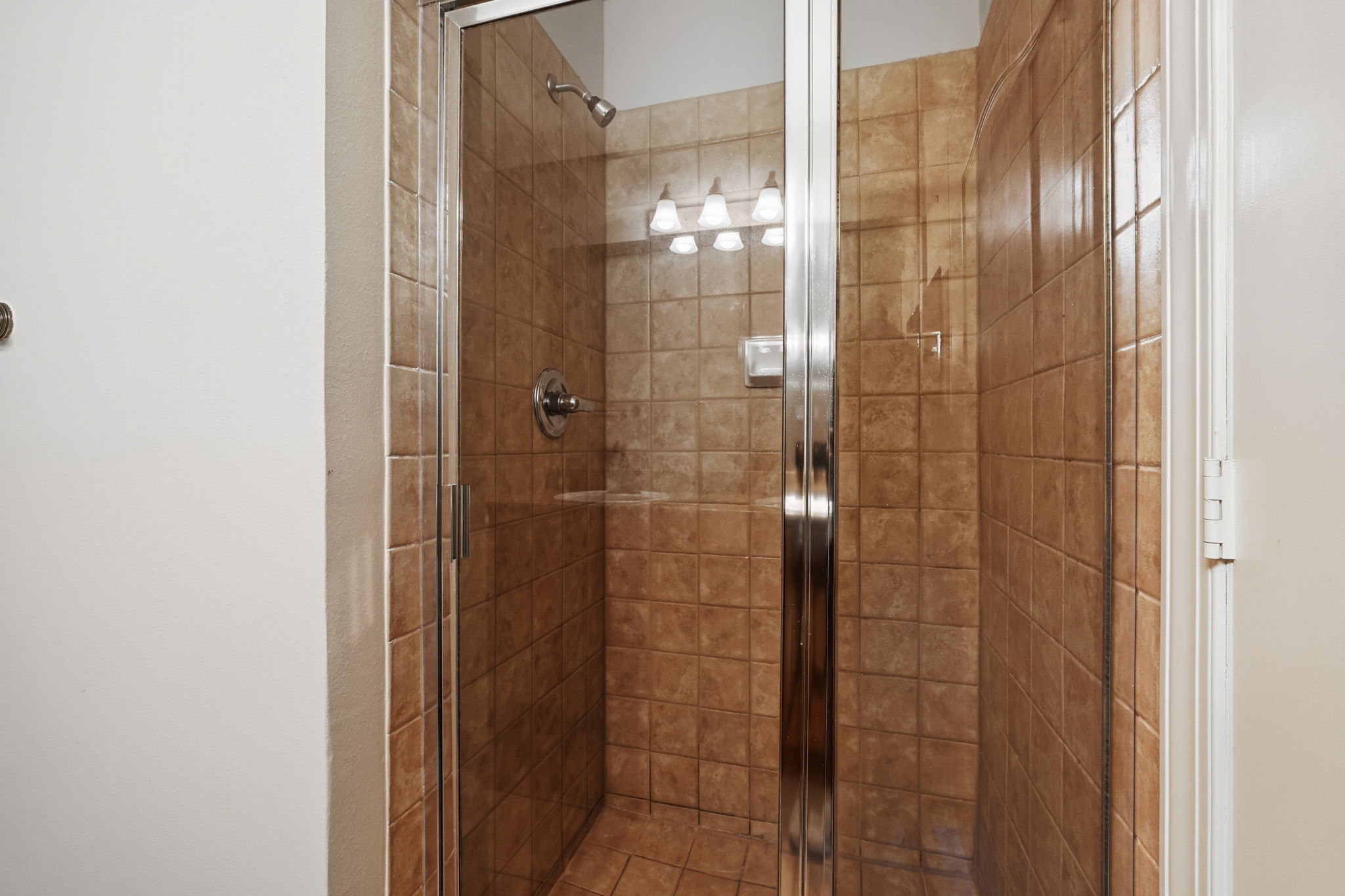 Primary Walk-In Shower
