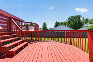  Photo 47