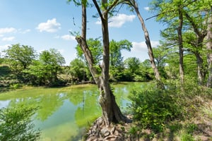 Oak Knob Dr-0405-901.jpg