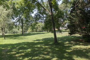  Photo 57