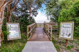 Biking, hiking and walking trails are everywhere on the island - over 50 miles of designated trails!